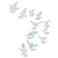 thumbnail image 3 of 11Pcs Birds Rainbow Suncatcher Window Clings Anti Collision Window Stickers Decals for Birds, 3 of 6