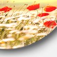 thumbnail image 3 of Designart - Wild Meadow with Poppy Flowers' Floral Oversized Circle Metal Artwork, 3 of 4
