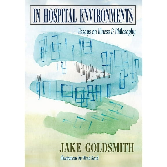 In Hospital Environments: Essays on Illness and Philosophy (Paperback)