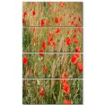 thumbnail image 2 of Red Poppy Field with Full of Flowers - Large Flower Canvas Art Print, 2 of 3