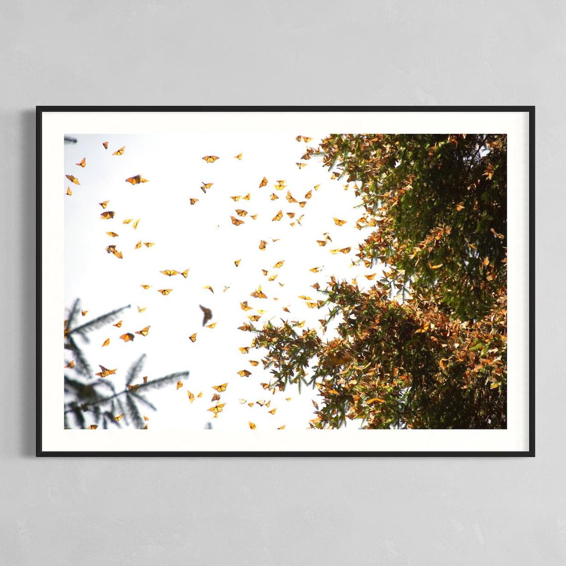 Fine Art Nature Photography Monarch Butterfly Photo Tree Print Wildlife Wall Decor Forest Print Nature Home Decor Butterfly Print