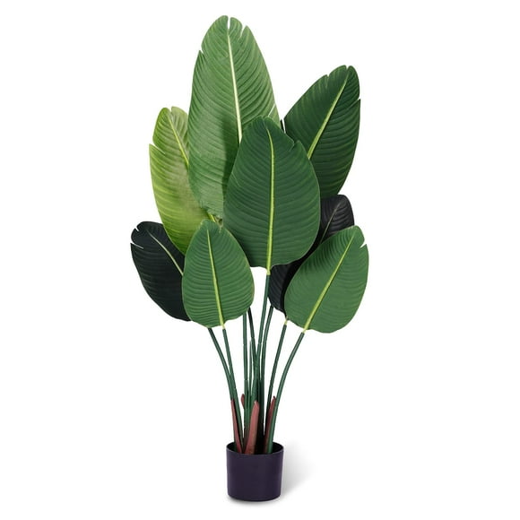 Fake Bird Paradise Plant