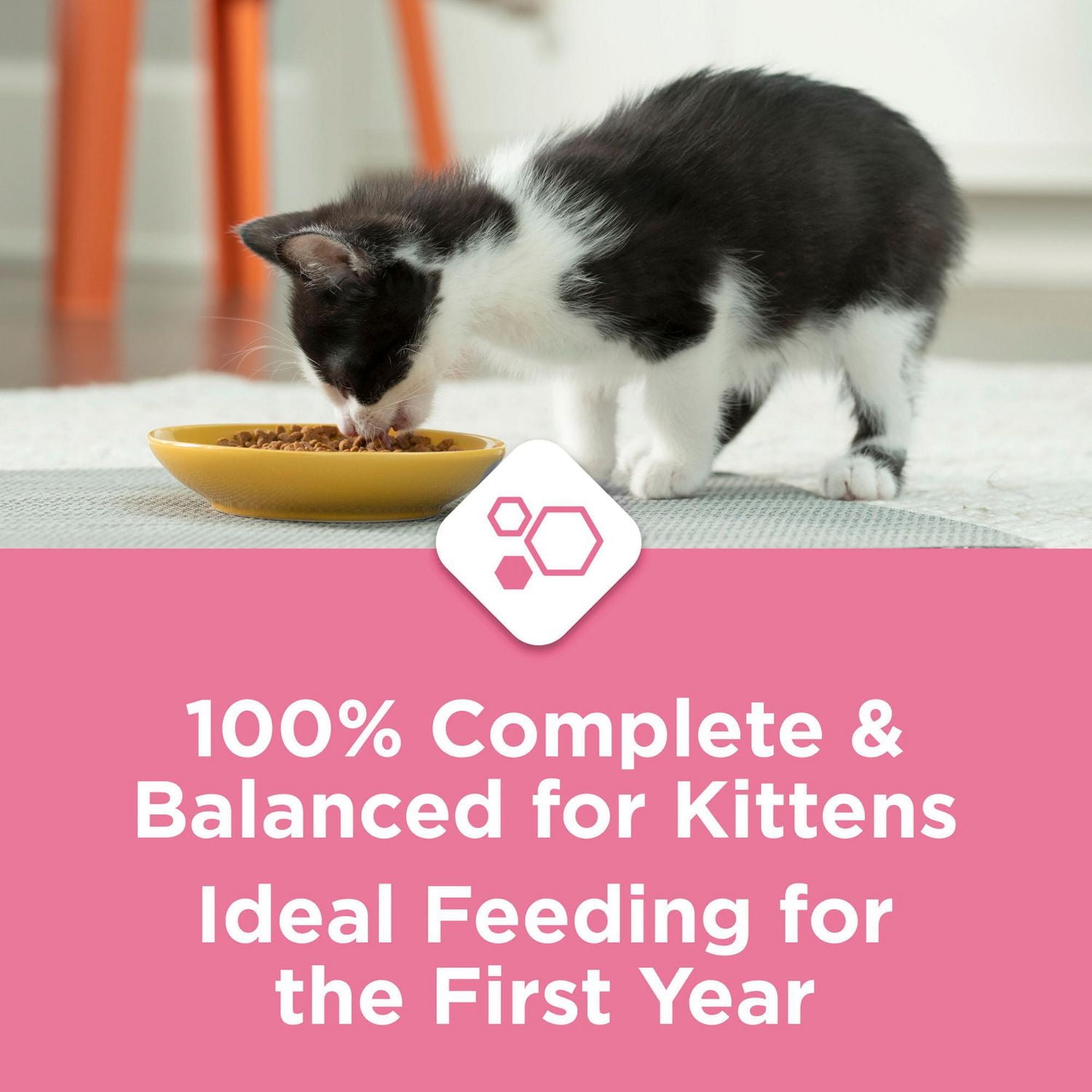 Purina Kitten Chow Nutrition Avancée pour Chatons, Nourriture Sèche pour Chatons