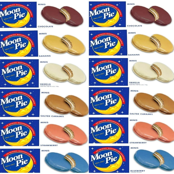 Moon Pies  Mini Bulk 72 Individually Wrapped Moon Pie 12 Boxes 6 Each Box