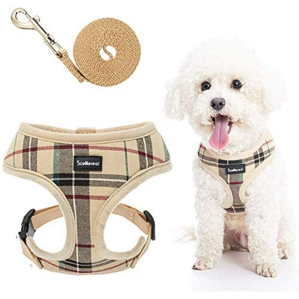 Scenereal top dog harness