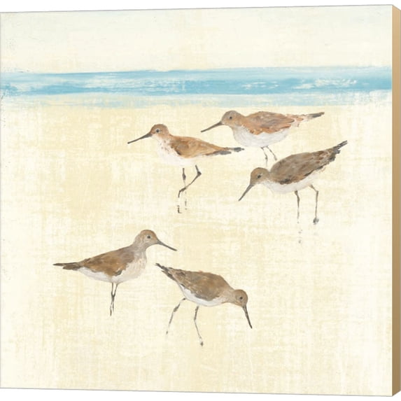 Sandpipers Square II Blue by Avery Tillmon, Canvas Wall Art