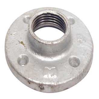 10-1305 Replacement Flange Kit - 2inch NPT With Stainless Steel Hardware