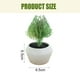 thumbnail image 2 of Planta de simulación suculenta en maceta, pequeños adornos creativos para interiores, plantas verdes artificiales, 2 uds., 2 of 5
