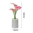 thumbnail image 2 of Mini Flower Pot Night Light Desk Lamp for Bedroom, Home Decor, Romantic Atmospheres, Battery Operated, Gift Idea, 2 of 5