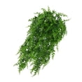 thumbnail image 4 of Helecho artificial montado en la pared, oficina en casa, planta verde, vid, banquete de boda, decoración Plantas de plástico 2 Piezas sidaley  HA6617-00B*2, 4 of 6