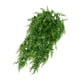 thumbnail image 4 of Helecho artificial montado en la pared, oficina en casa, planta verde, vid, banquete de boda, decoración Plantas de plástico 2 Piezas sidaley  HA6617-00B*2, 4 of 6