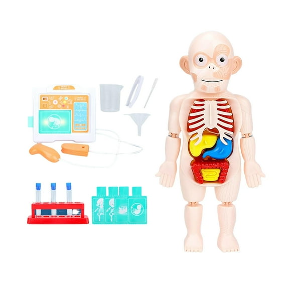 Rompecabezas de aprendizaje,Juguete de anatomía del cuerpo humano DIY educativo ensamblado,Juguete de aprendizaje temprano Cognición sensorial Ayudas para la enseñanza,Juguetes de desarrollo CUTICAT Rompecabezas de aprendizaje