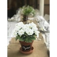 thumbnail image 4 of Morttic 2Pcs Artificial Geraniums Silk Flowers Outdoor Artificial White Geranium Bush Faux Flowers Geraniums for Floral Home Decor Indoor Garden Patio Grave Cemetary Vase Table Centerpiece, 4 of 8