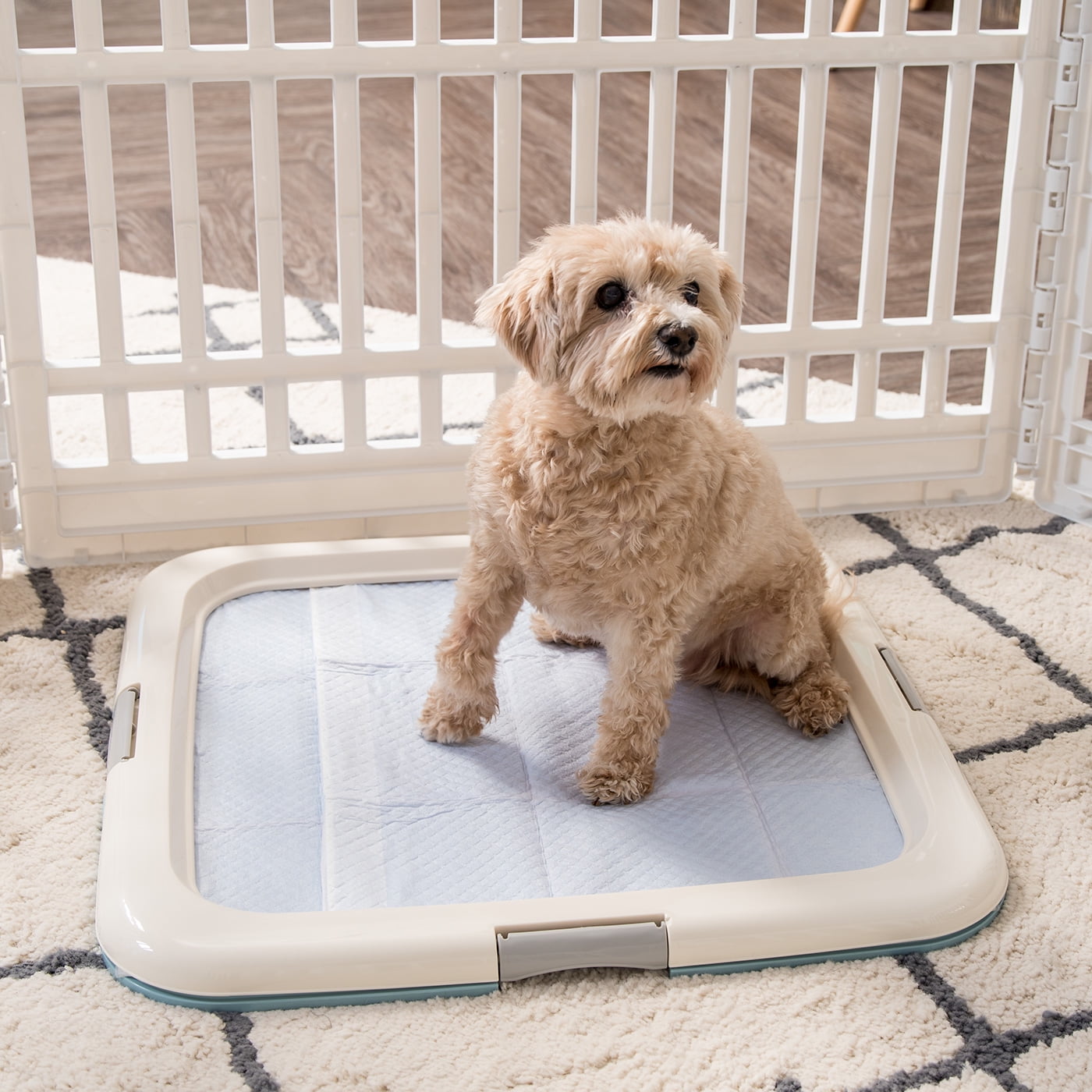IRIS Puppy Pee Pad Holder for Dog Potty Training, Holds Pads 23" L x 22.75" W x 1.37" H, Blue