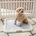 thumbnail image 2 of IRIS Puppy Pee Pad Holder for Dog Potty Training, Holds Pads 23" L x 22.75" W x 1.37" H, Blue, 2 of 8