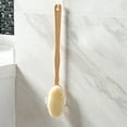 thumbnail image 3 of Natural Bristle Shower Brush for Dry and Wet Use: Deep Clean Skin, Promote Circulation with Long Handle for Easy Reach, 3 of 9