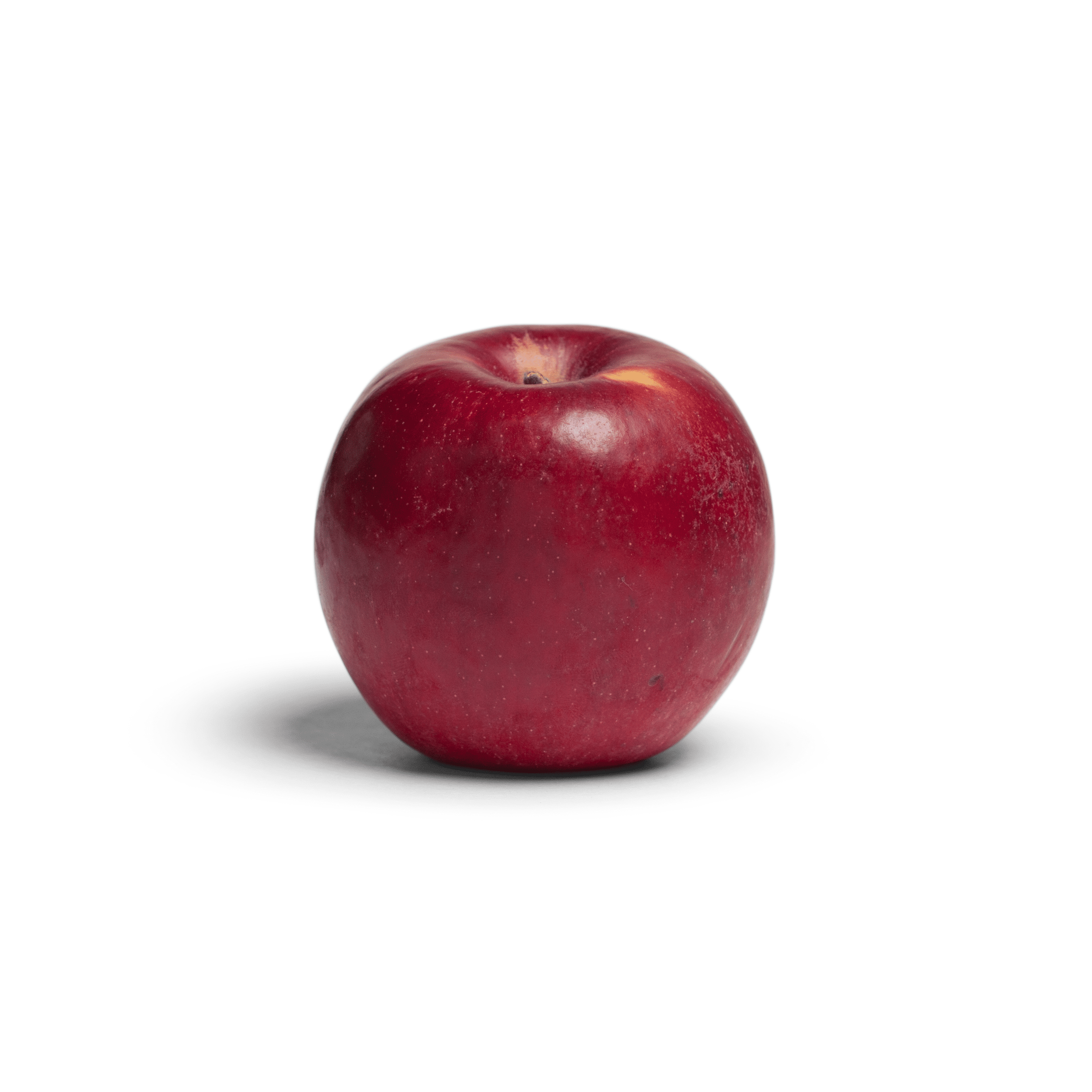 Apple Jonathan Artificial Fruit 