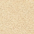 thumbnail image 6 of SAFAVIEH Clyde Solid Plush Polyester Shag Area Rug, Cream, 6' x 9', 6 of 7