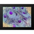 thumbnail image 2 of Lavoie, Tina 14x11 Black Modern Framed Museum Art Print Titled - Peacock Feathers in ether, 2 of 5