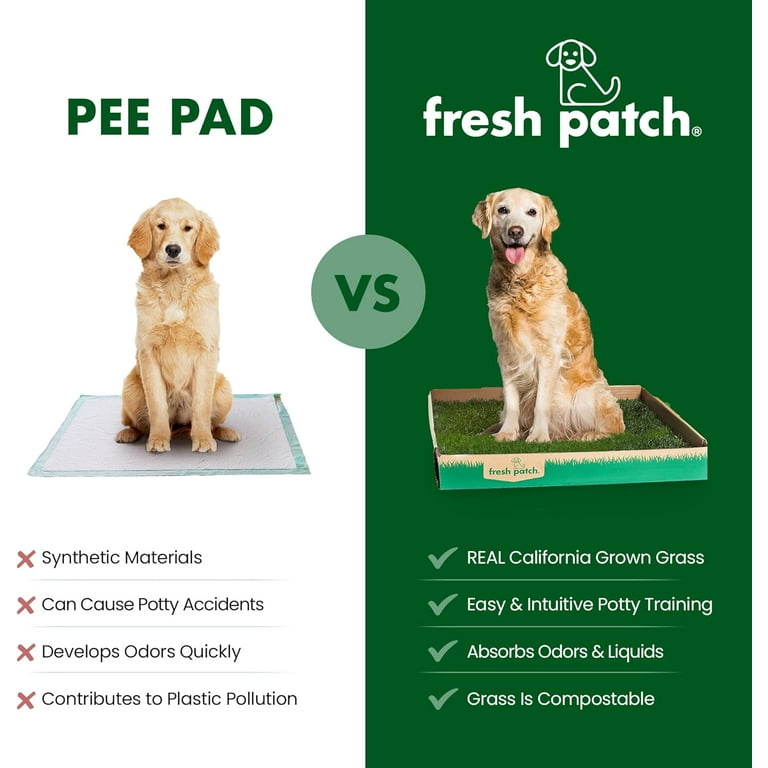 Fresh Patch Real Grass Patch for Dogs, Cats, and Extra Large Pets