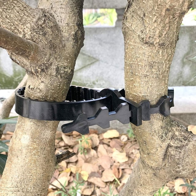 FENGGUIQU 10Ud Flexible Para Entrenamiento De Plantas Y Árboles Material