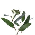 thumbnail image 5 of Vickerman 24" Artificial Green Seeded Willow Eucalyptus  Wreath, 5 of 5