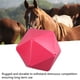 thumbnail image 3 of Alimentador De Bolas Para Caballos, Alimentador De Bolas Para Golosinas Para Caballos De Alimentación Lenta Duradero De PE Para Pastoreo, 3 of 7