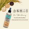 thumbnail image 4 of ON NATURAL - Rice Water [Rosemary] 8oz, Facial and Hair Mist, 4 of 10