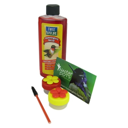 Handheld Hummingbird Feeder Kit Everything You Need To Hand Feed
