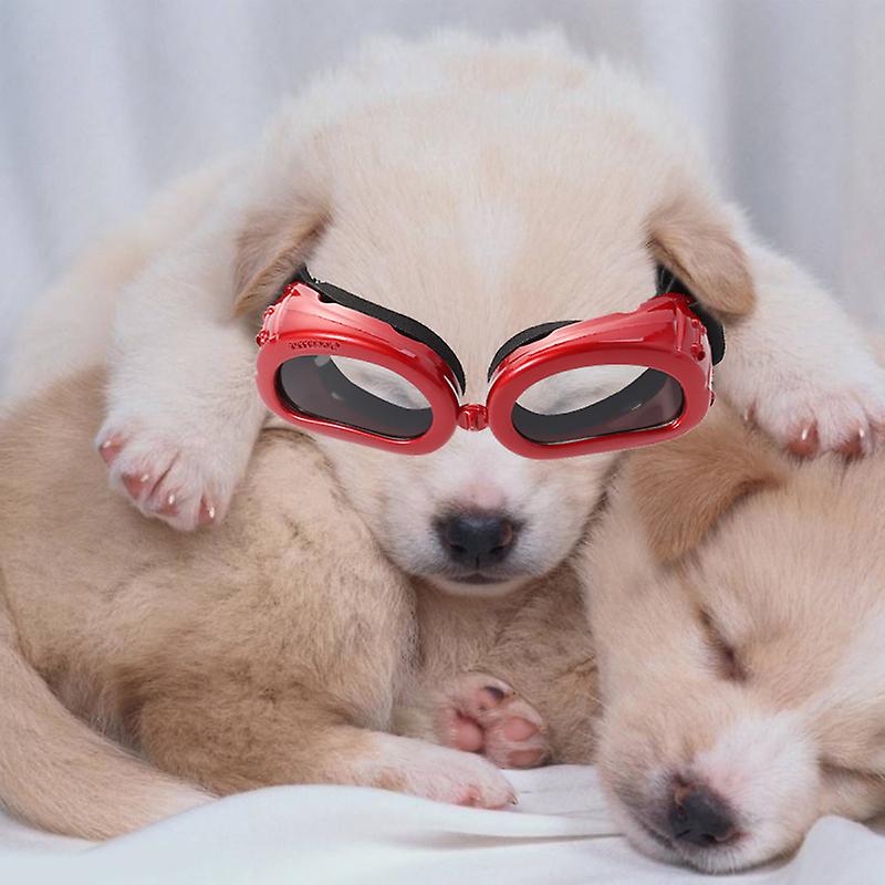 Dog Sunglasses Eye Wear Protection Waterproof Pet Goggles Uv Protection