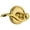 Polished Brass, variant on Grandeur Bellagio Door Lever with Georgetown Plate