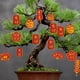 thumbnail image 5 of Colgante de Año Nuevo Jadeshay Adorno de árbol de la fortuna Plástico Papel, 5 of 5