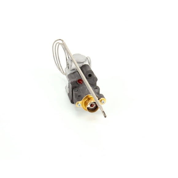 Rankin Delux GT-09 Thermostat