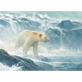 thumbnail image 3 of Salmon Watch - Spirit Bear, 3 of 3