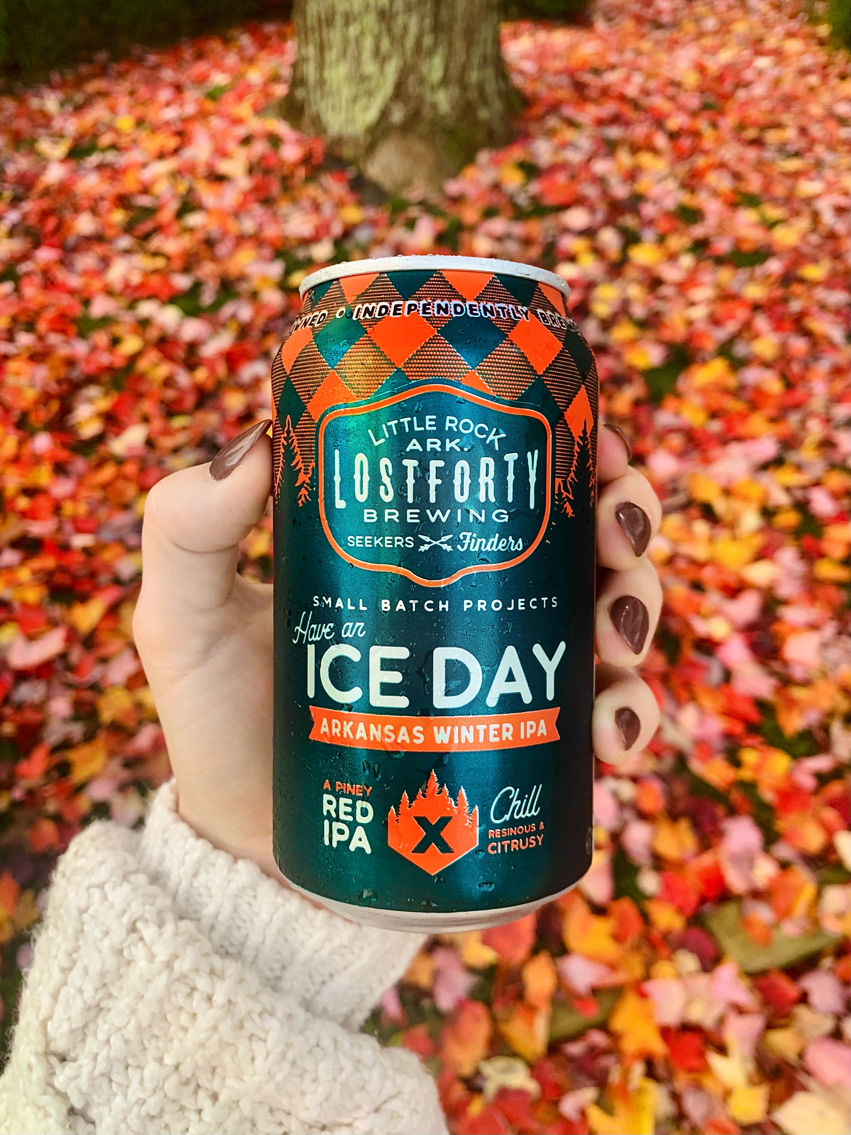 Lost Forty Brewing Ice Day India Pale Ale,12 fl oz 6 Pack Cans, 6.0% ABV