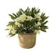 thumbnail image 2 of Bonsái artificial | Arreglo floral y de lavanda artificial | Decoración para el hogar y la oficina: ideal para la sala de estar, la entrada o estanterías | Vegetación artificial en jarrón moderno, 2 of 6