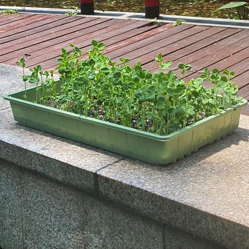 -Plastic Growing Trays, 5 Pack, Plant Tray, Seed Tray, Propagation Tray