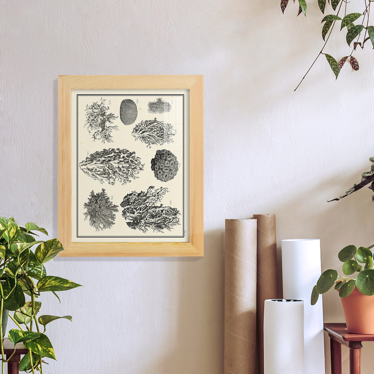 Aegean Collection IV -Framed Print w/glass-Natural Wood