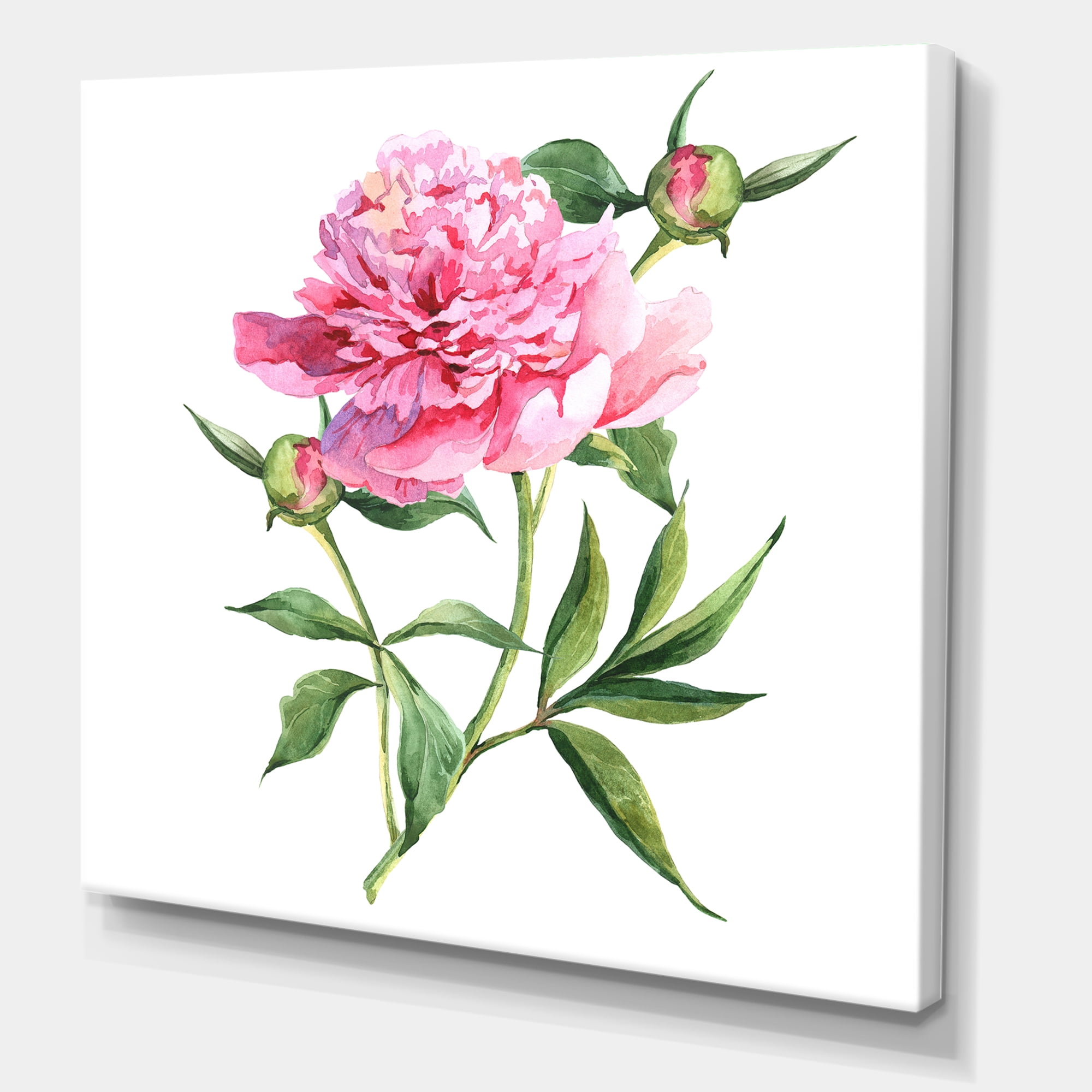Ancient Pink Peonies 30 in x 30 in Painting Canvas Art Print, by Designart