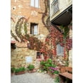 thumbnail image 2 of Eggers, Julie 19x24 White Modern Wood Framed Museum Art Print Titled - Italy-Chianti Back street alleyway with fall colored climbing vine, 2 of 4
