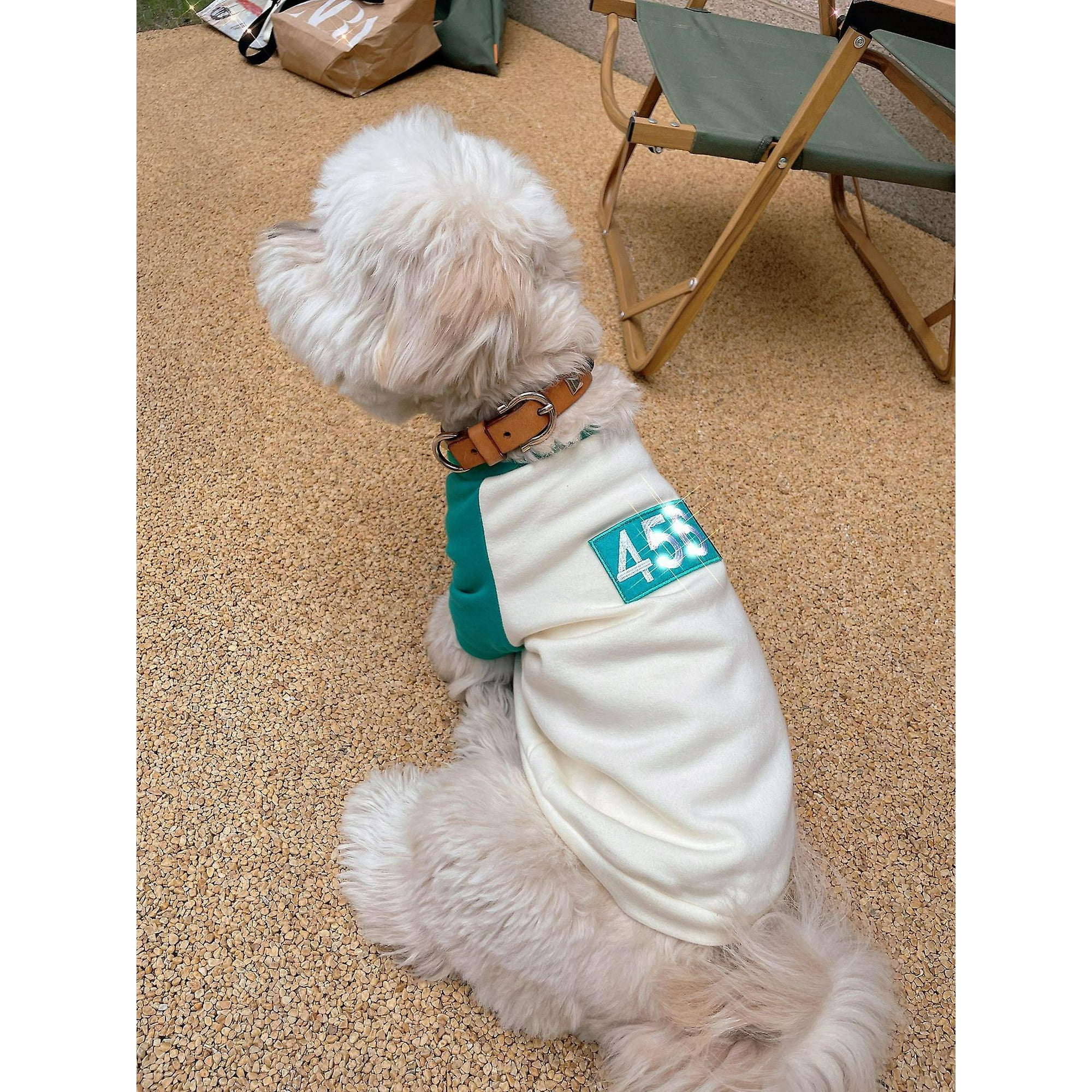 456 Number Squid Game Clothe Pet Dog Hoodie Warm Dog Costume Fashion Cat  Sweater Pet Clothes Bichon Corgi Coat Jacket Small Medium Dogs Clothe Gift  | Walmart Canada
