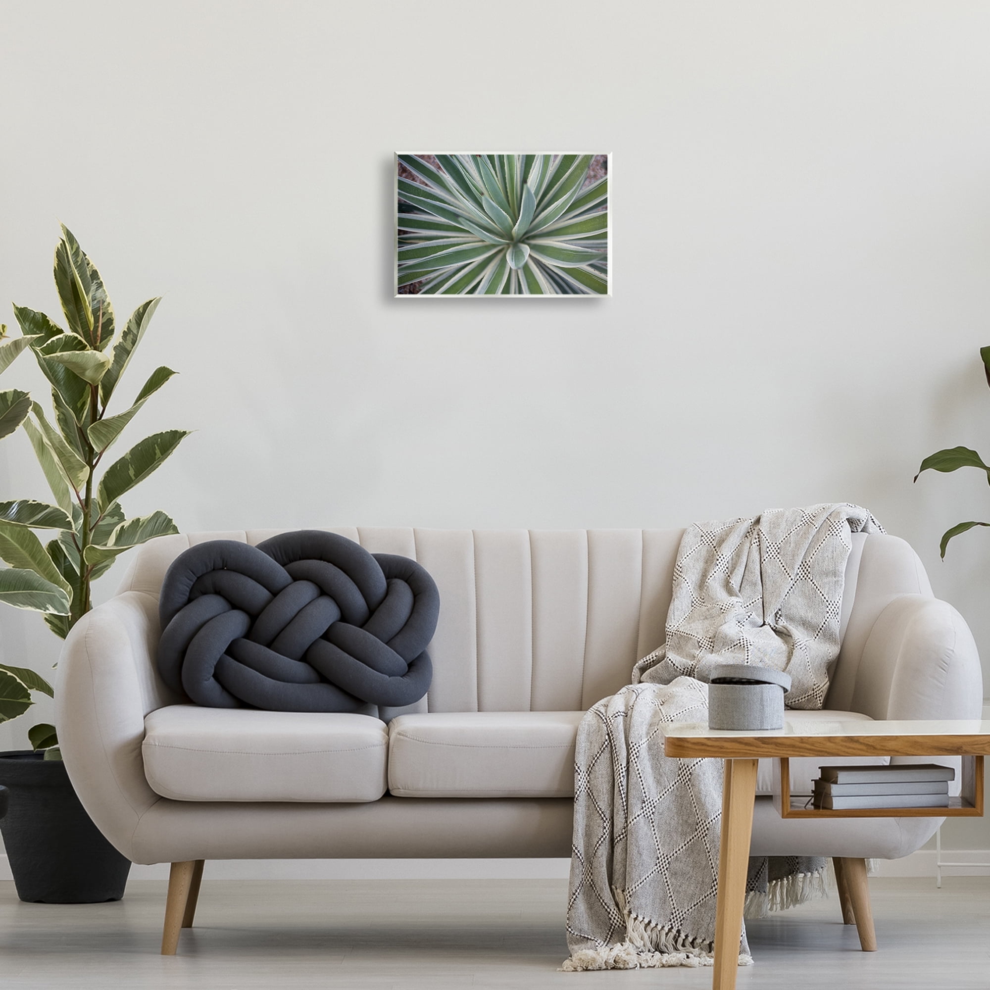 Stupell Industries Centric Succulent Leaves Botanical & Floral Photography Unframed Art Print Wall Art, 15 x 10
