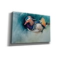 thumbnail image 2 of Epic Graffiti 'Mandarin Duck Soup' by Robert Campbell, Canvas Wall Art, 18"x12", 2 of 8