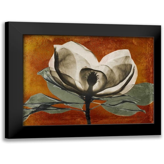 Koetsier, Albert 14x12 Black Modern Framed Museum Art Print Titled - Magnolia Rust 1