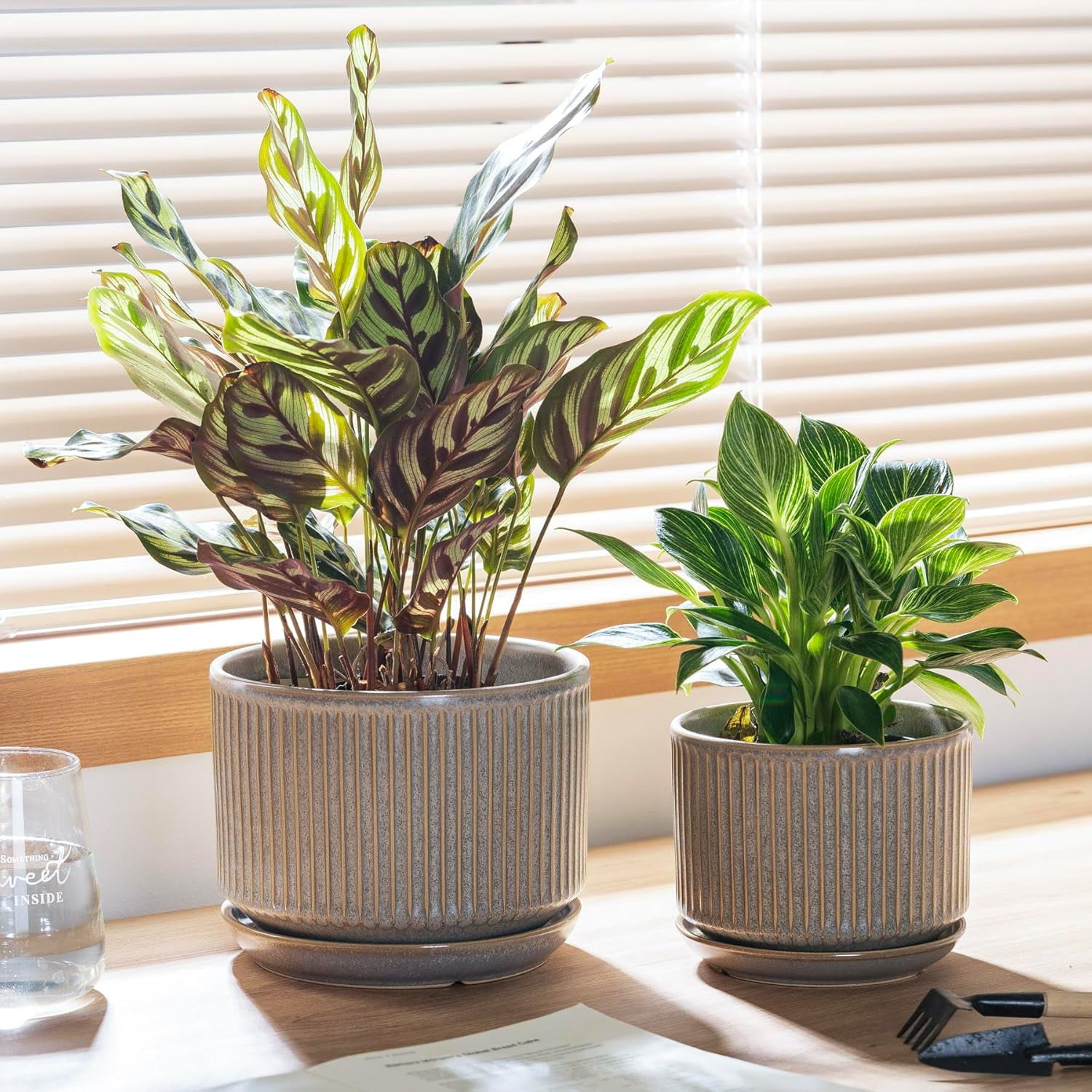 Speckle Gray Ceramic Plant Pot Set of 3 with Saucers, 4.3-6.7 Inch Indoor Flower Pots with Drainage Holes and Pads, Decorative Striped Planter Set for House Plants and Gardening