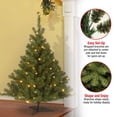 thumbnail image 4 of National Tree Company 4 Ft Artificial Prelit Kincaid Spruce Christmas Tree, 4 of 7