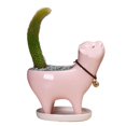 thumbnail image 3 of Shenmeida Cat Succulent Planter Decorative Animal Flower Pot Mini Cartoon Ceramic Grass Plant Pot Box with Tray Saucer, 3 of 6