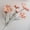 A002- Complexion, variant on Artificial Flower Stems for Floral Party Decorations Weddings Bridal Showers Birthdays Summer Home Decor Single Faux Wildflower Hobby for Table Centerpieces