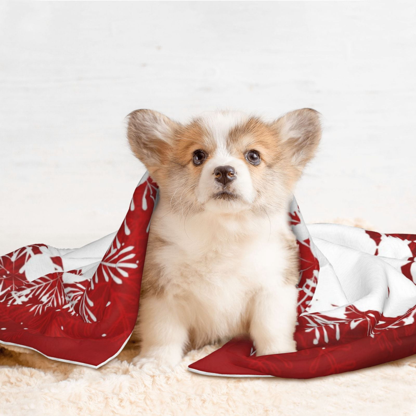 Naloa Winter Christmas Snowflake Dog Blanket, 3 Sizes Cat Blanket for Indoor Cats Large Medium Small Dog Gifts-Medium