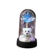 thumbnail image 2 of Luz nocturna conservada de Rose Bear para el Día de San Valentín | Cúpula de Cristal Decorativa Ambiental LED | Adorno romántico de escritorio | Flores de plástico moradas, blancas, azules, rojas, 2 of 6